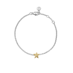 Silver & Gold Wishing Star Chain Bracelet