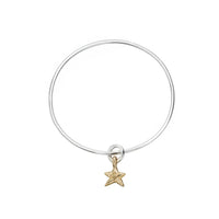 Silver & Gold Mini Star Bangle