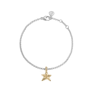 Silver & Gold Mini Star Chain Bracelet