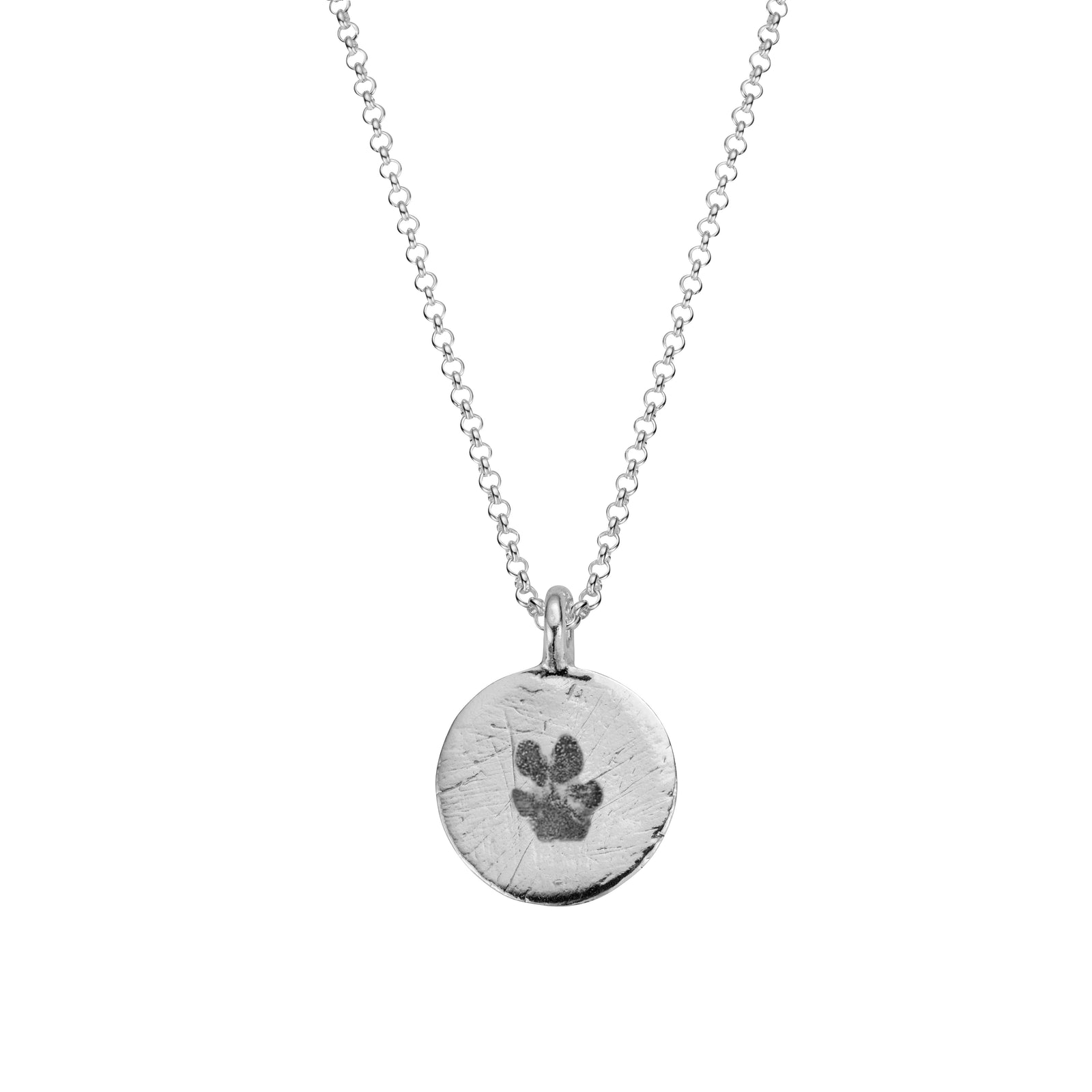 Silver Large Moon Necklace with Paw Print