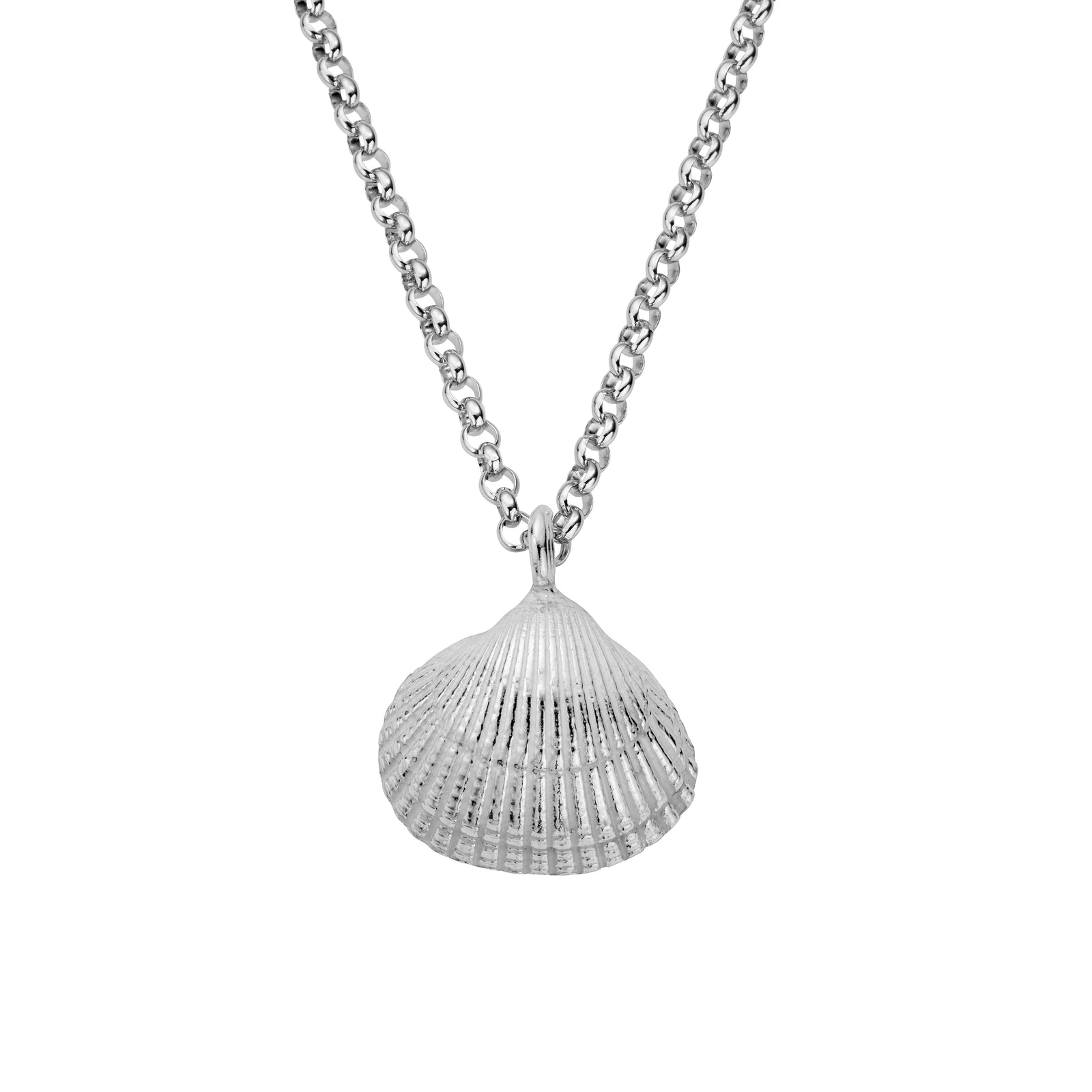 Silver Maxi Shell Necklace