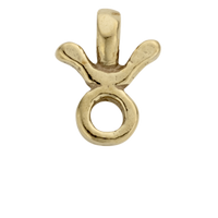 Gold Horoscope & Birthstone Charm