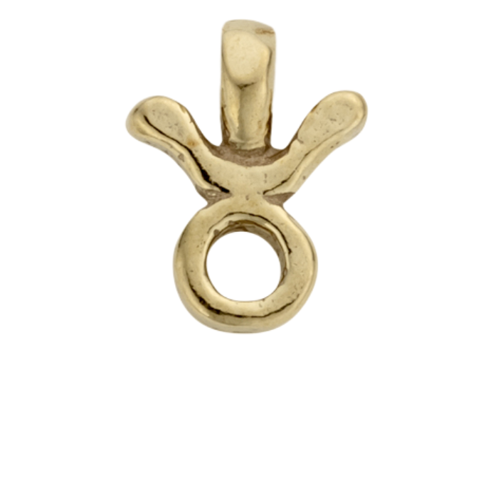 Gold Horoscope & Birthstone Charm