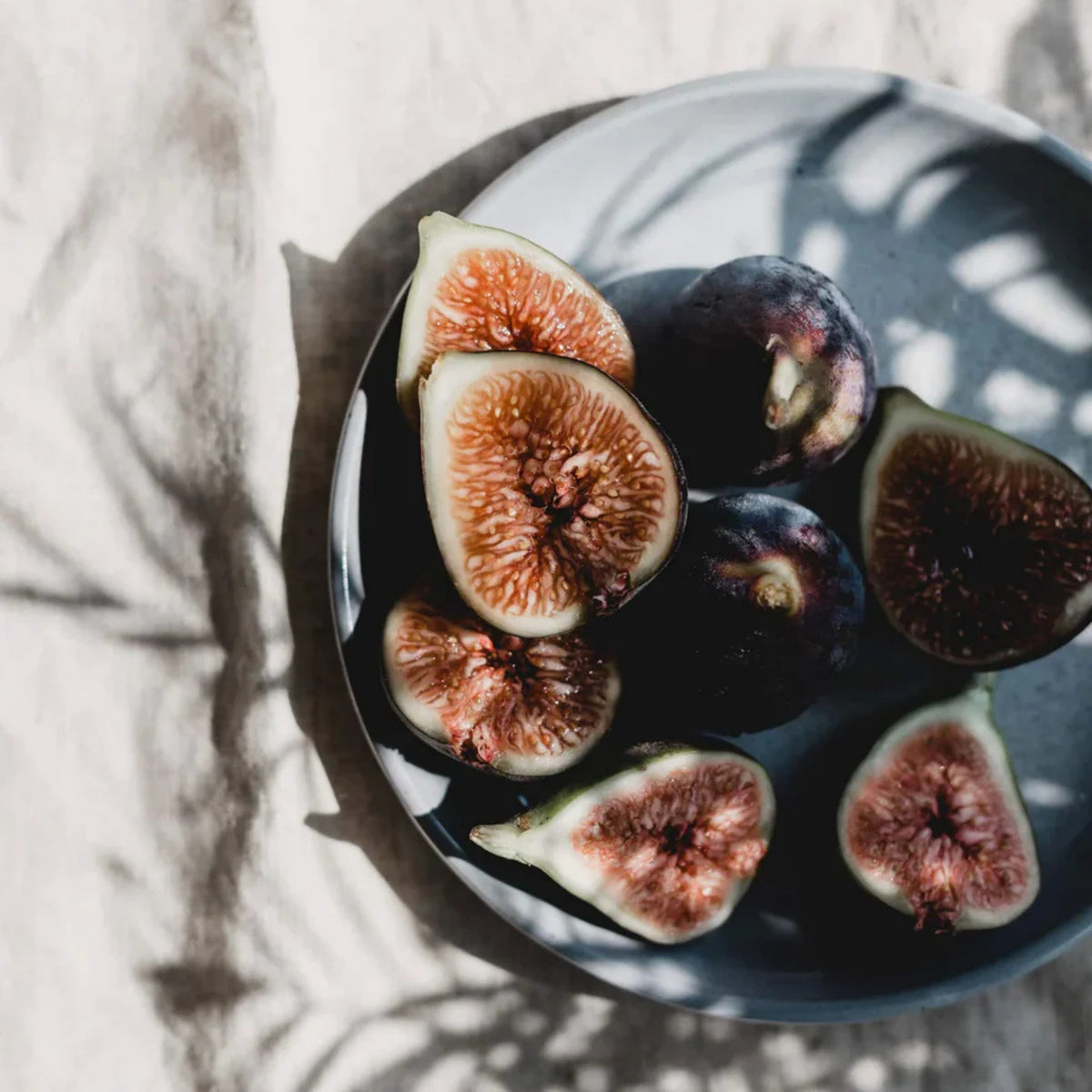 DD x True Grace Fig Tin Candle