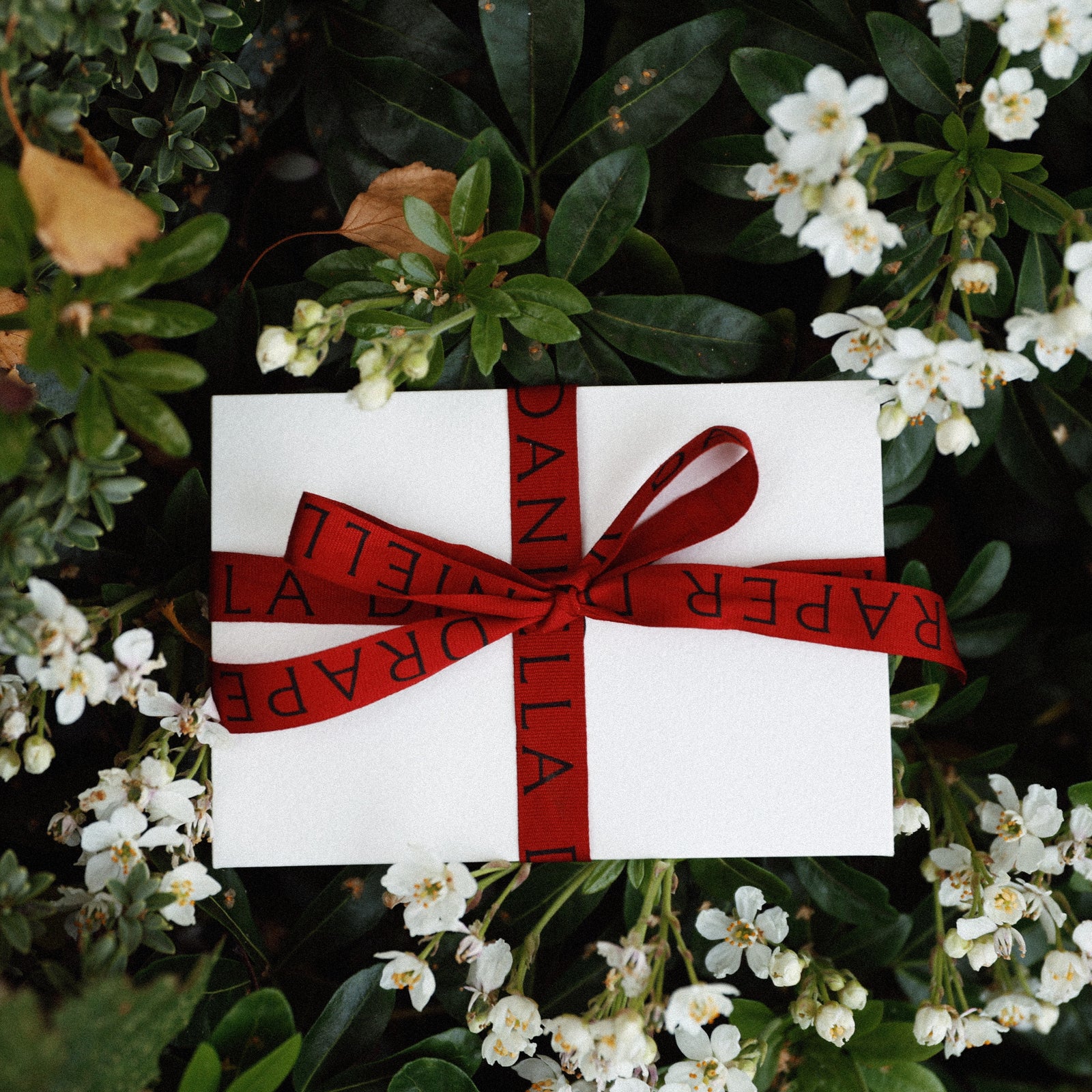 Daniella Draper Gift Card