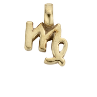 Gold Horoscope & Birthstone Charm