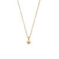 Gold Baby North Star Necklace