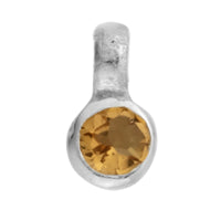 Silver Horoscope & Birthstone Charms