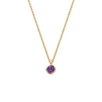 Gold Amethyst Baby Treasure Necklace