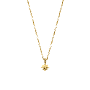 Children's Gold Baby North Star Necklace