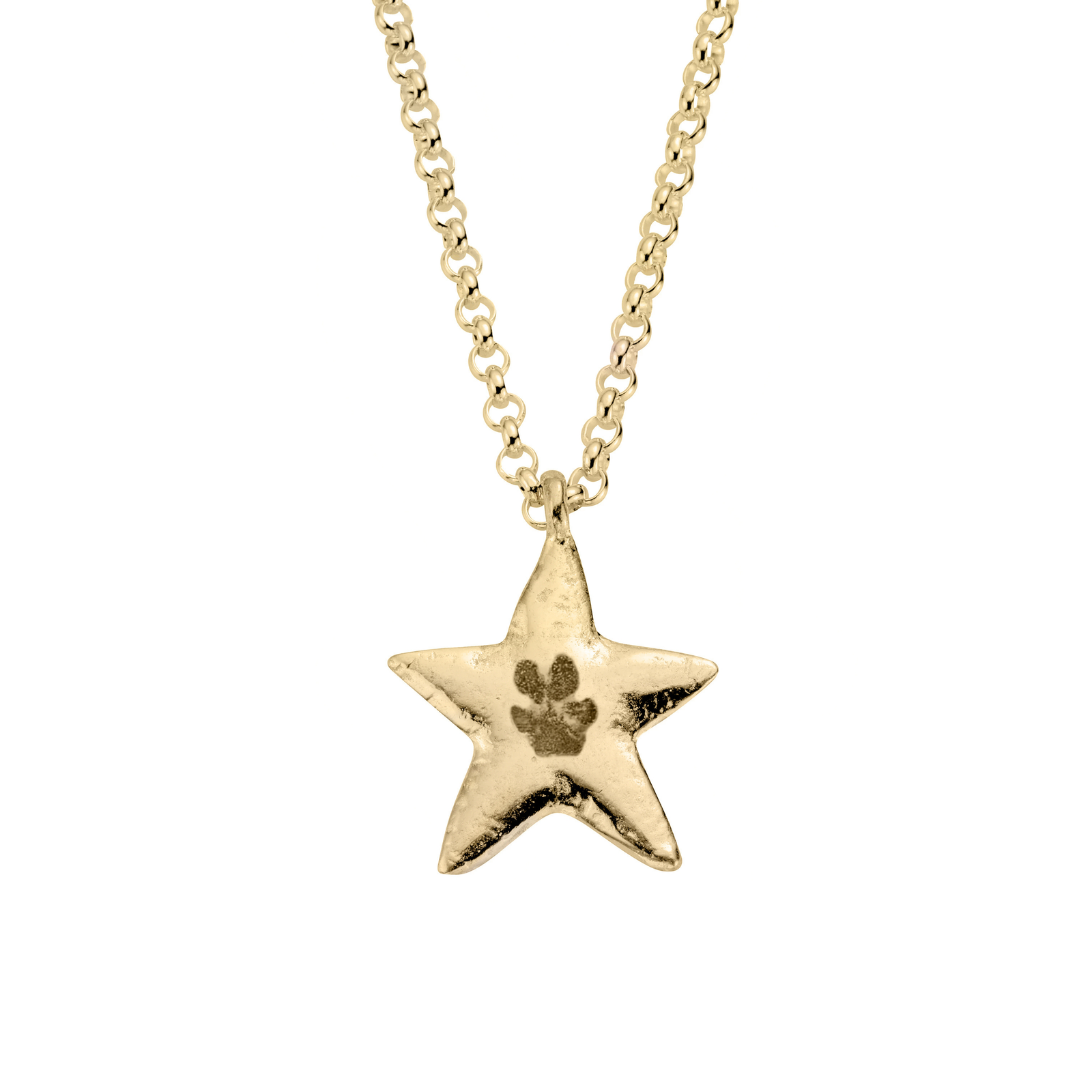 Gold Maxi Star Necklace with Paw Print