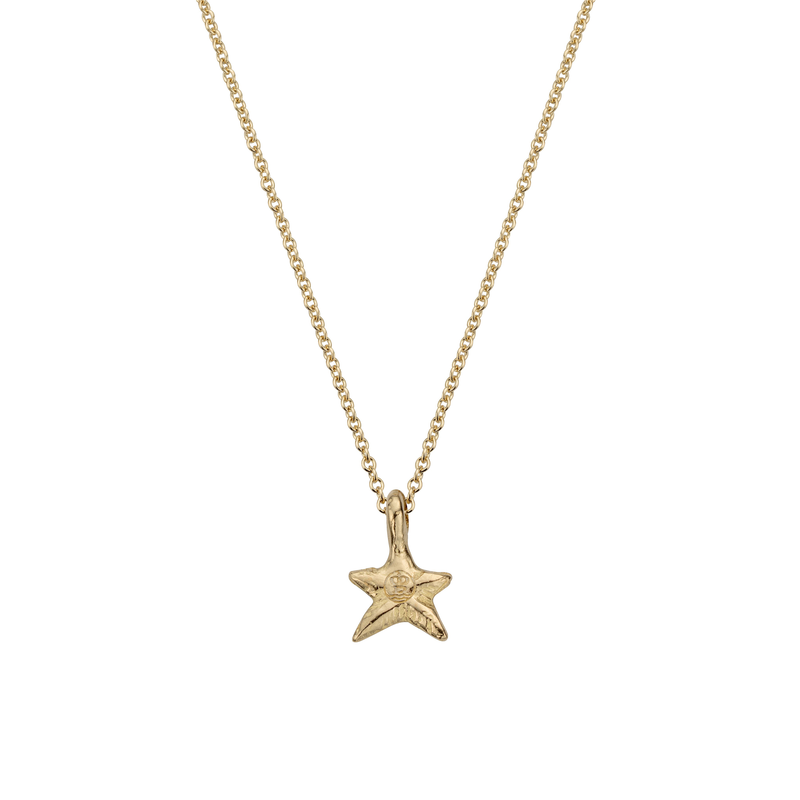Gold Mini Star Necklace