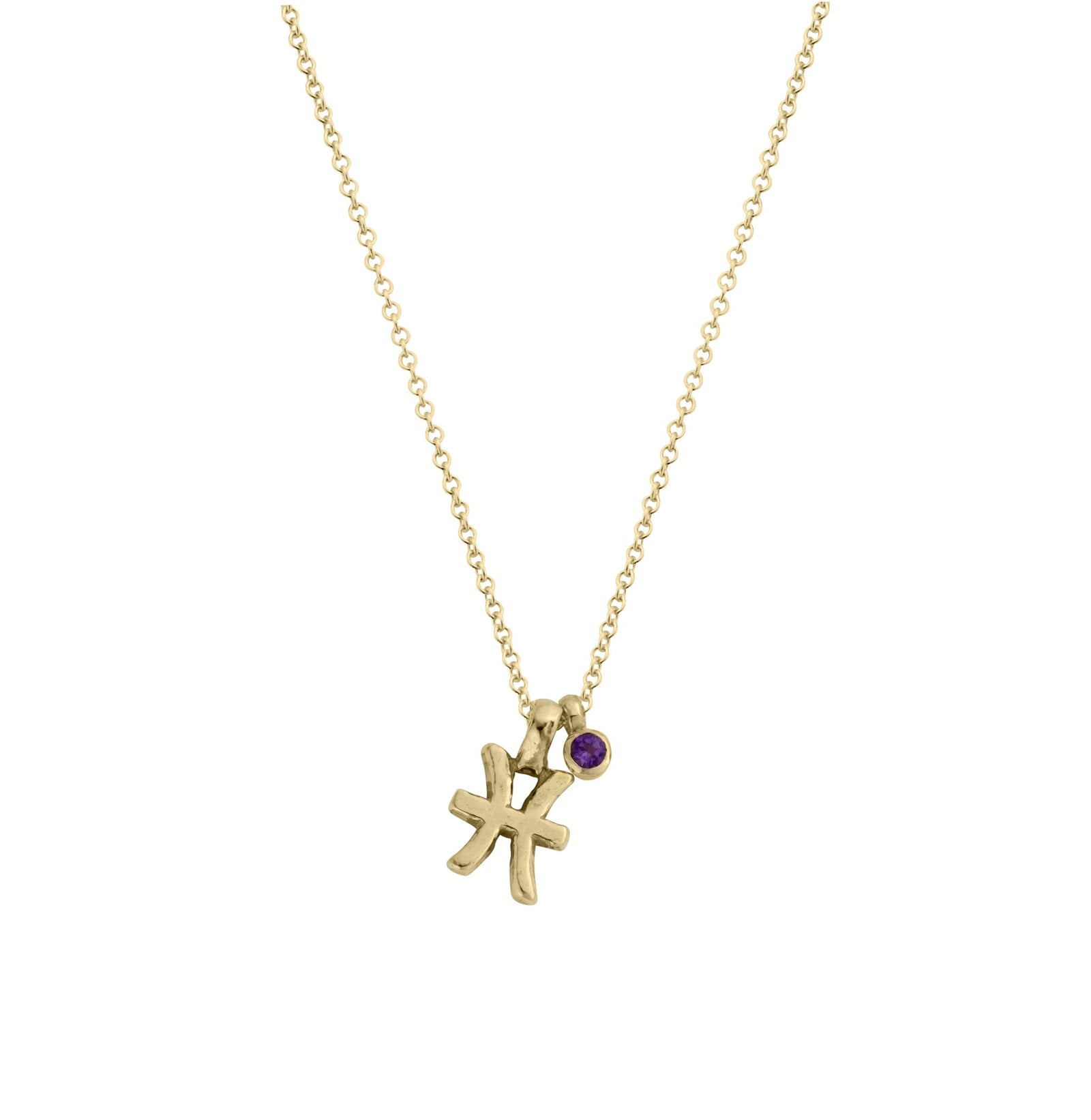 Gold Mini Pisces Horoscope & Amethyst Birthstone Necklace