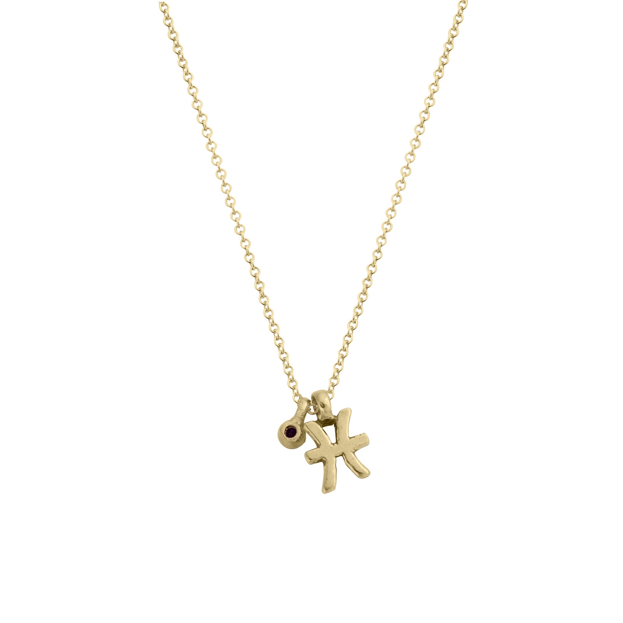 Gold Mini Pisces Horoscope & Amethyst Birthstone Necklace