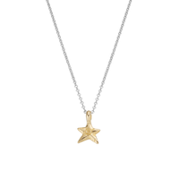 Silver & Gold Mini Star Necklace