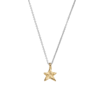 Silver & Gold Mini Star Necklace