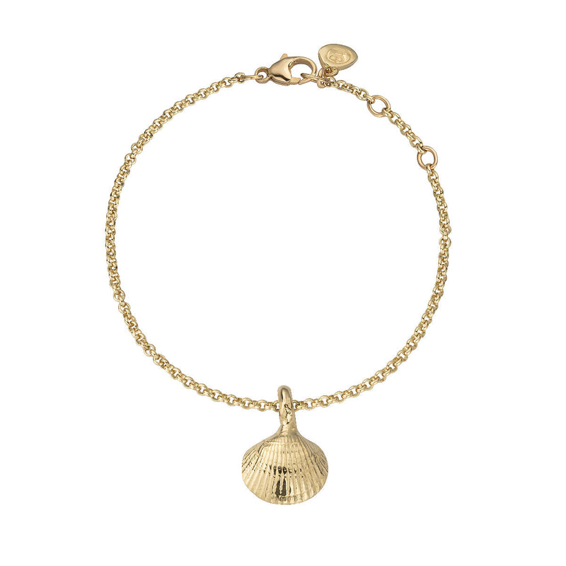 Gold Mini Shell Chain Bracelet