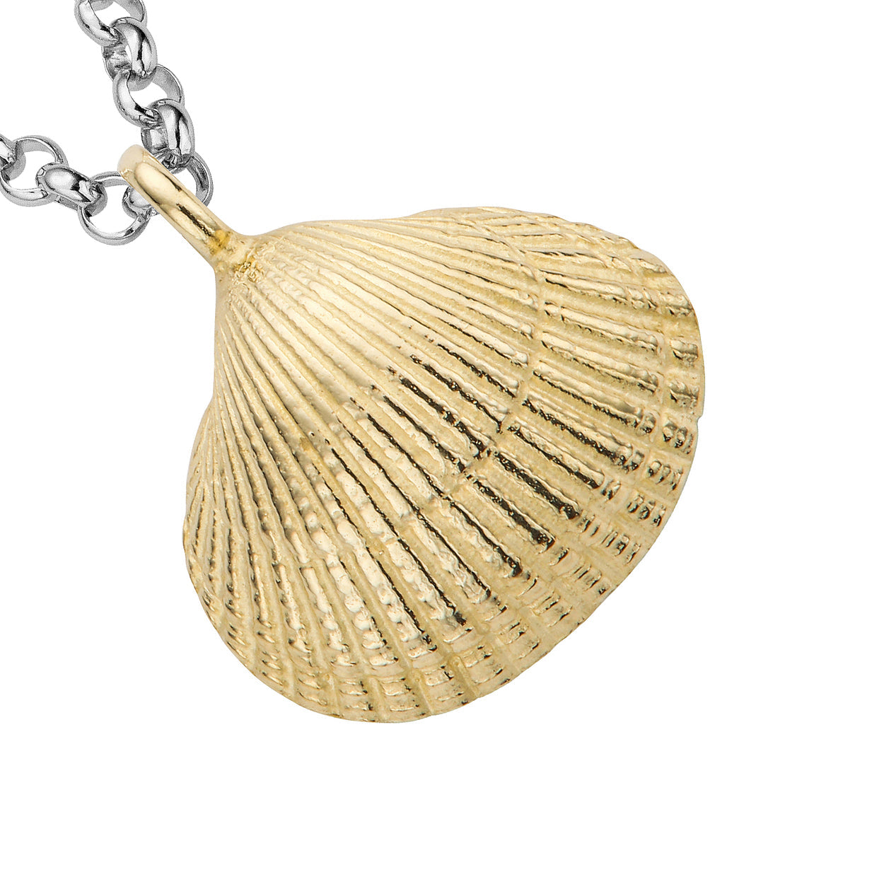 Silver & Gold Maxi Shell Necklace