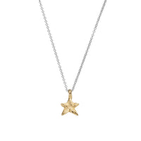 Silver & Gold Mini Star Necklace