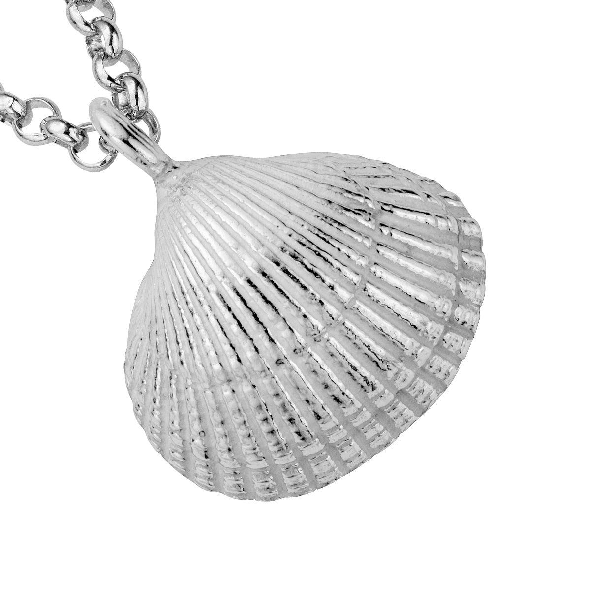 Silver Maxi Shell Necklace