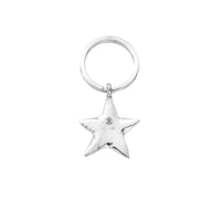 Maxi Star Classic Keyring