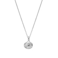 Silver Mini Shell Necklace