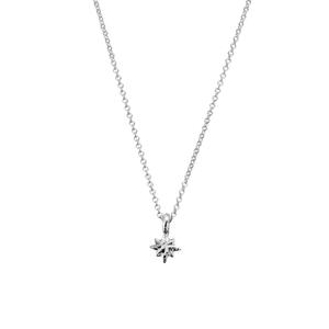 Children's Silver Baby North Star Necklace