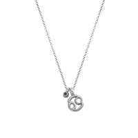 Silver Mini Cancer Horoscope & Moonstone Birthstone Necklace