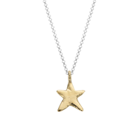 Silver & Gold Midi Star Necklace