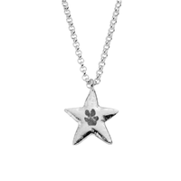 Silver Maxi Star Necklace with Paw Print